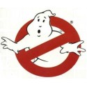 The Real Ghostbusters